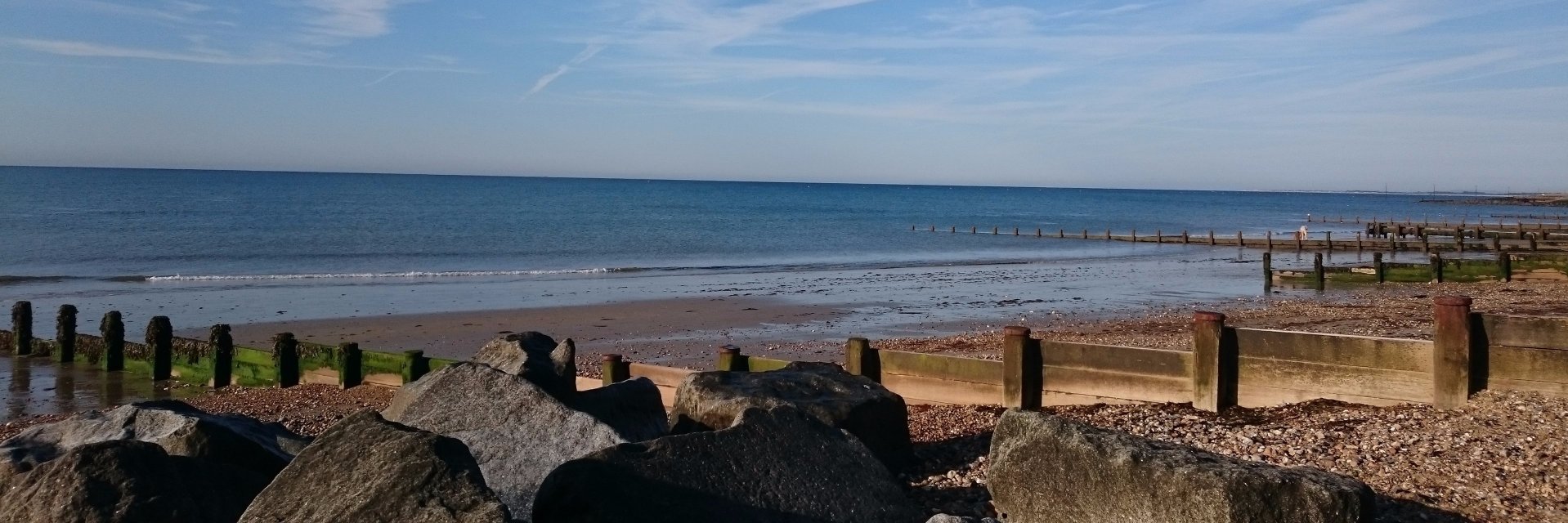 AlisonSheppey's profile banner image
