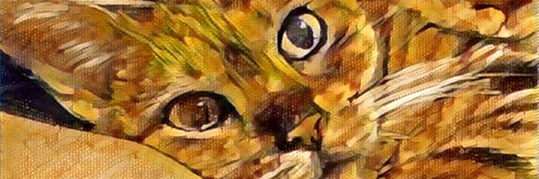 glmarsden's profile banner image