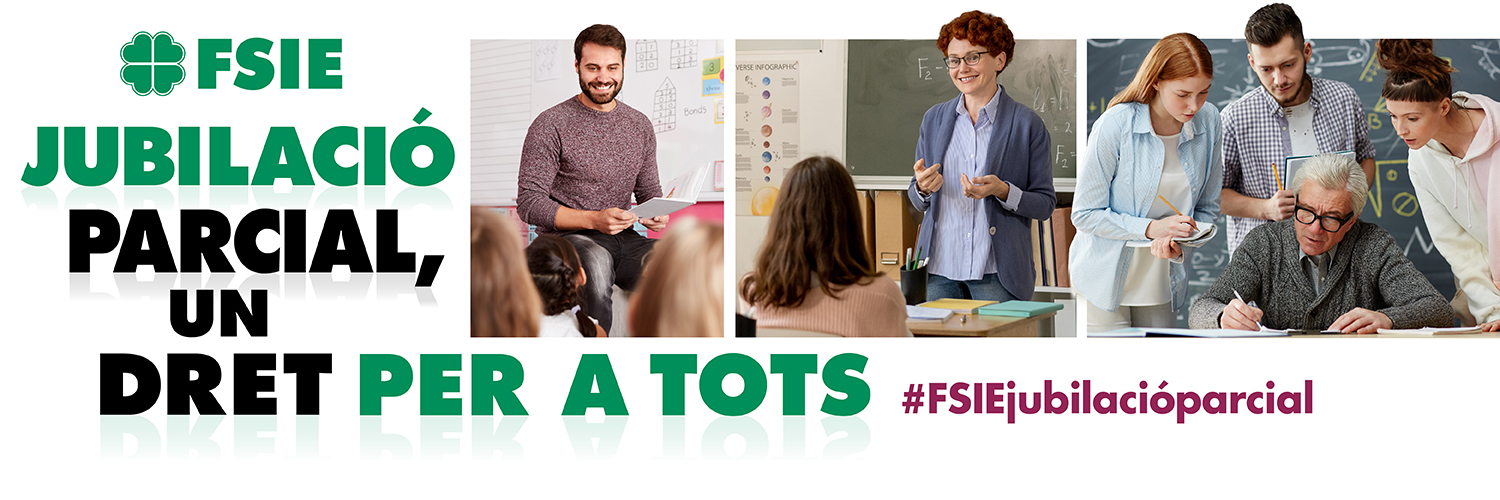 FSIE CV banner
