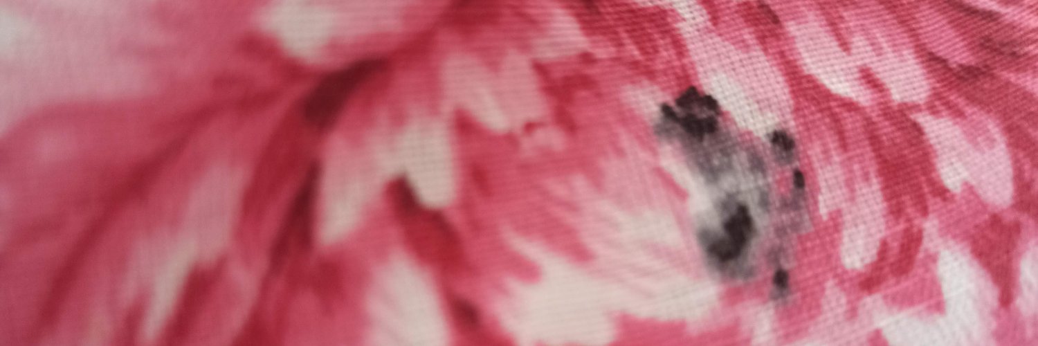 Vinceds06's profile banner image