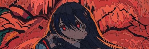 lentil banner