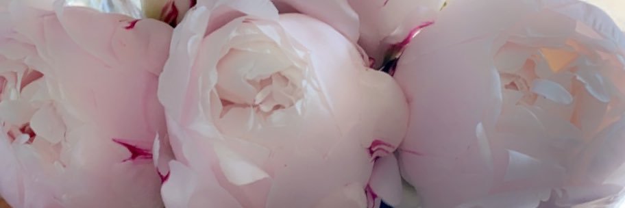 RefohRosie's profile banner image