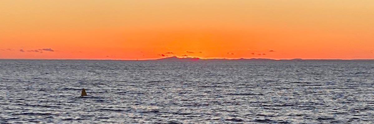 Danielle Berkovic banner