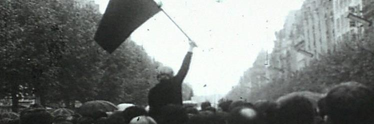 terrorismodeautor banner