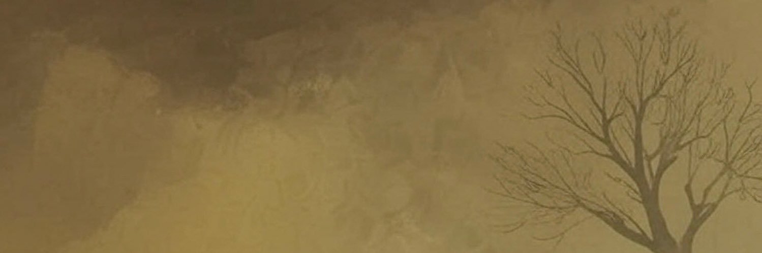 🛰 banner
