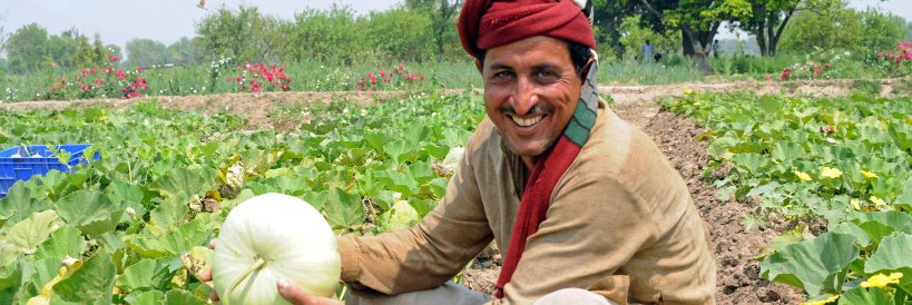 GLII_Land Indicators banner