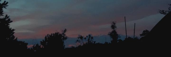 luvindl's profile banner image