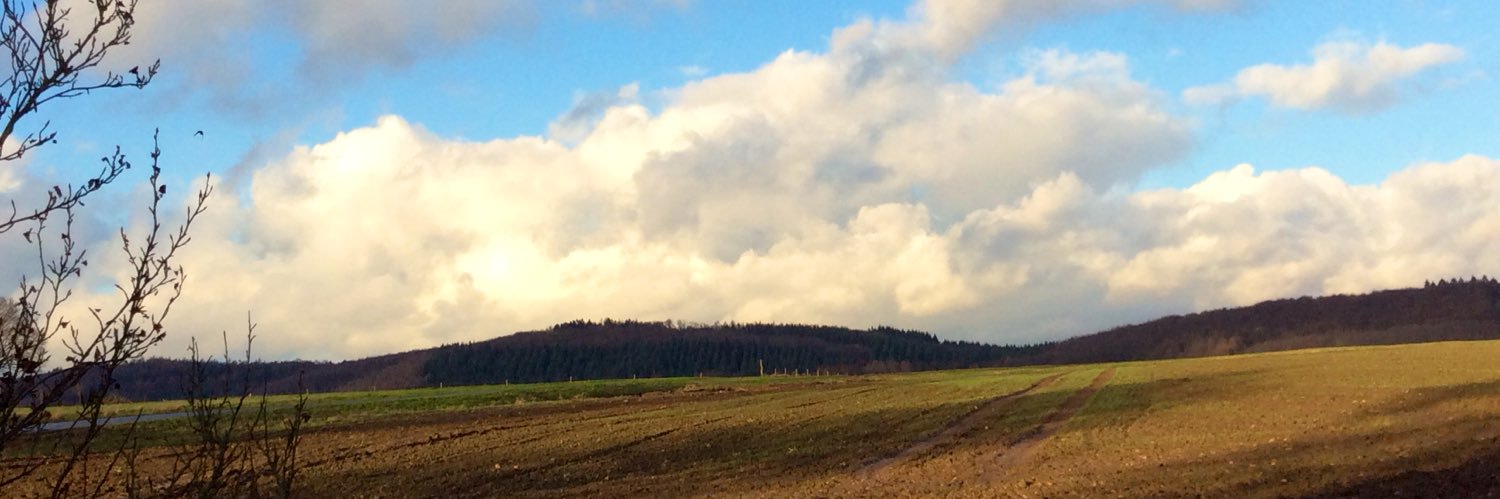 TheOstwestfale's profile banner image