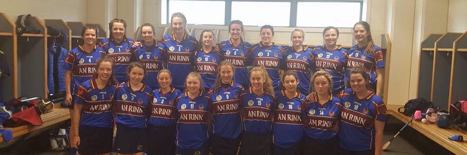 An Rinn Camogie banner
