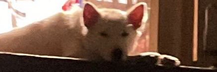 stacsour's profile banner image