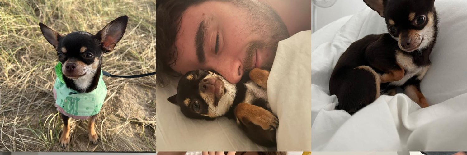 Jack_Sibs's profile banner image