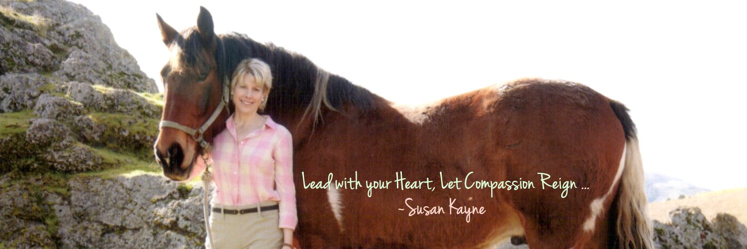 Susan Kayne banner