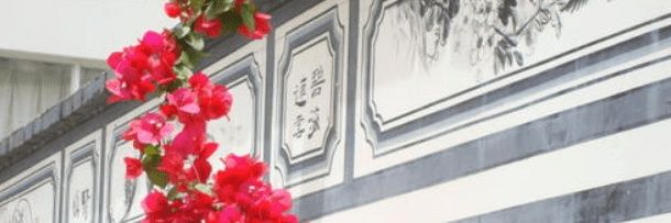 sectionsection's profile banner image