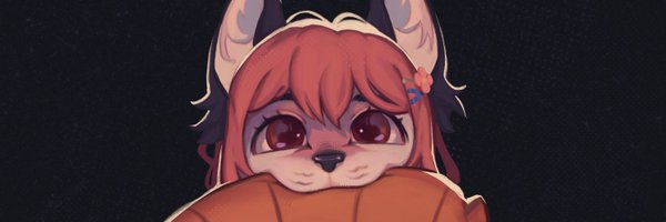 skalx2 Profile Banner