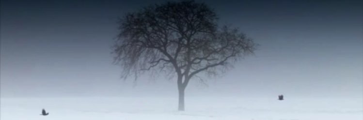 Kurtulusyilmazz's profile banner image