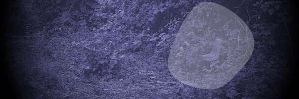 cfexontology Profile Banner