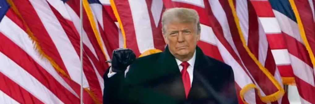 sylviaforTrump's profile banner image