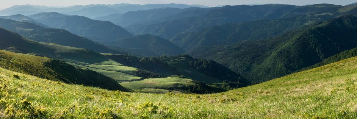kofibrasis's profile banner image