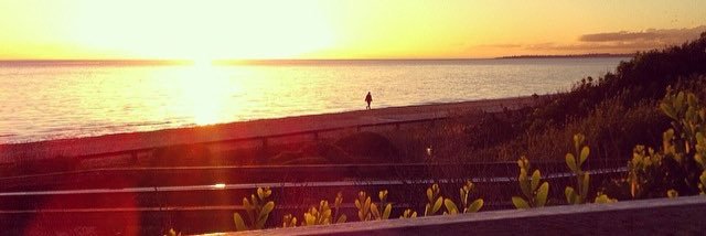 Ninon__M's profile banner image