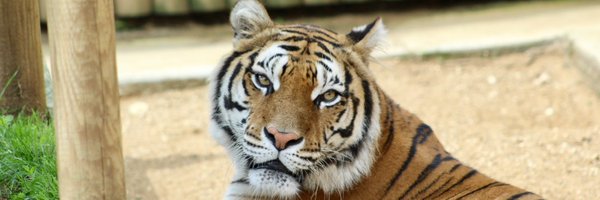 HelenPask Profile Banner