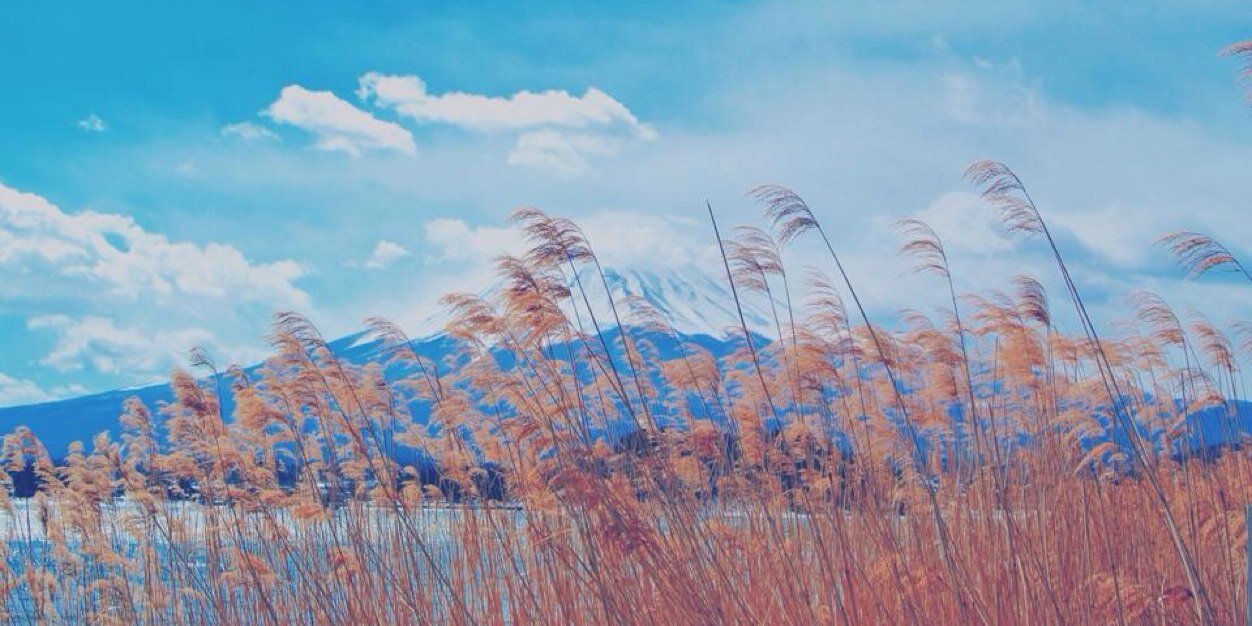 RomeoCK7's profile banner image