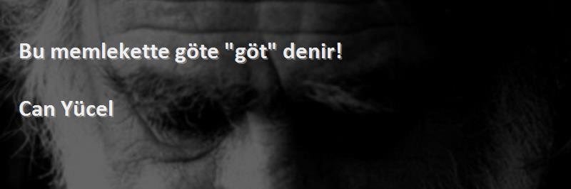 neferinfener's profile banner image
