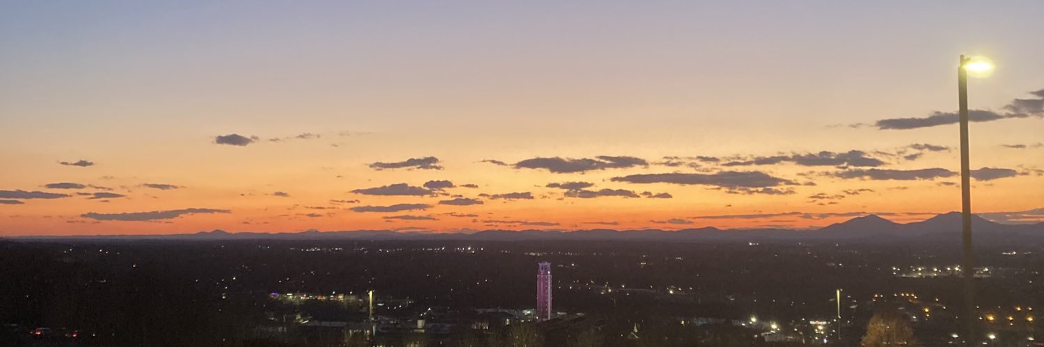 Freeman Nester banner