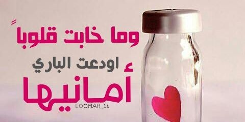 loomah92's profile banner image