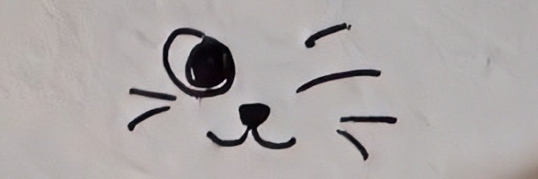 ewoo banner