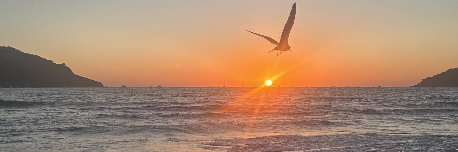 FernandoGax's profile banner image