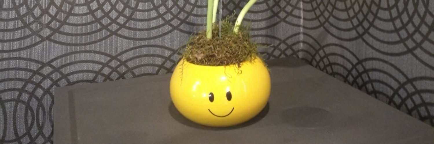 ZkodeZee's profile banner image