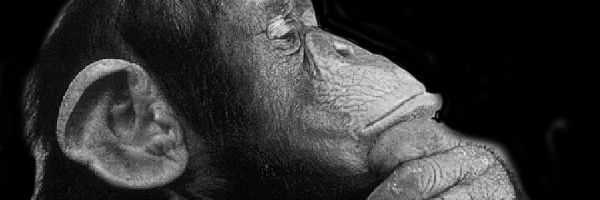 alonsofer's profile banner image