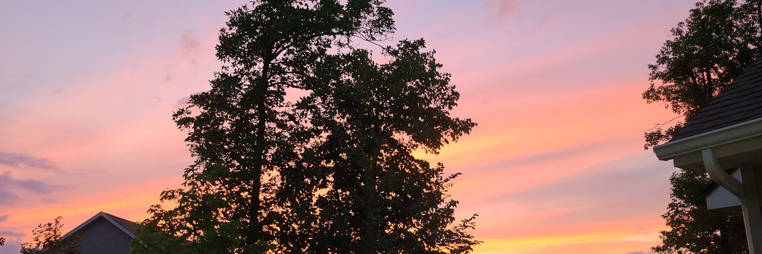 Alan Woodshire banner