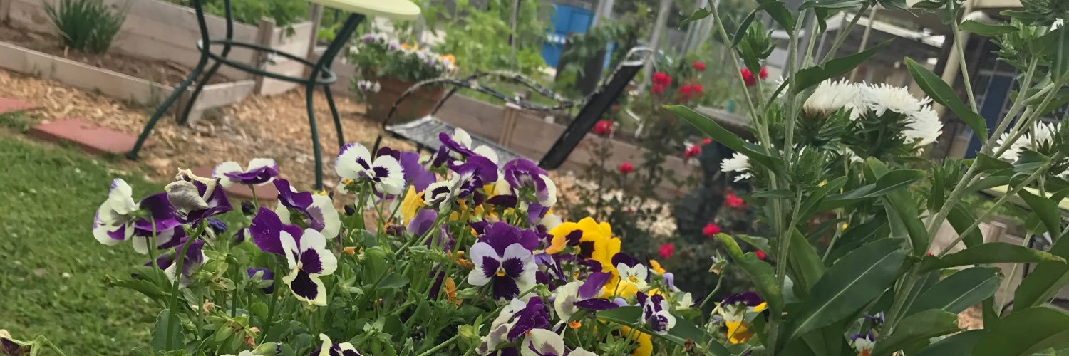 Mayfair Lab School banner