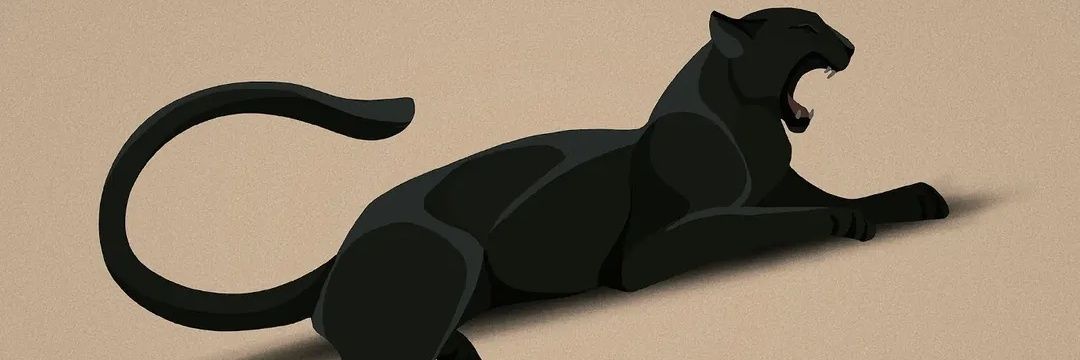 Gökben Türkoğlu banner