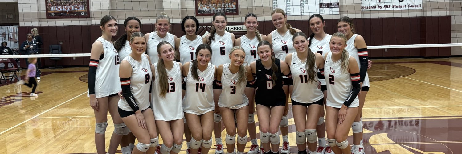 Bridge City Volleyball banner