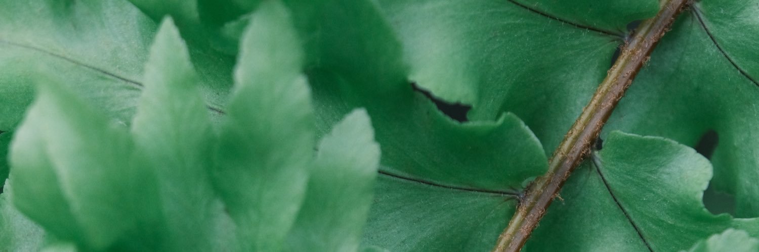 Nithipack_P's profile banner image