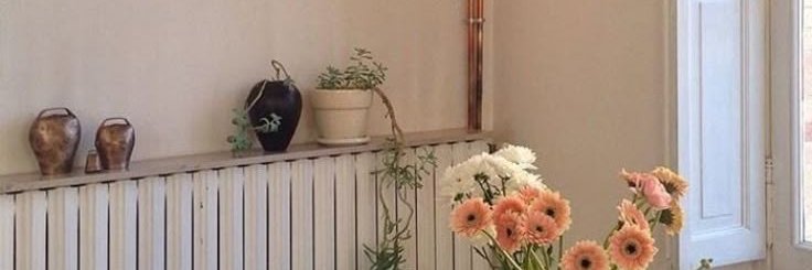 aurigaella's profile banner image