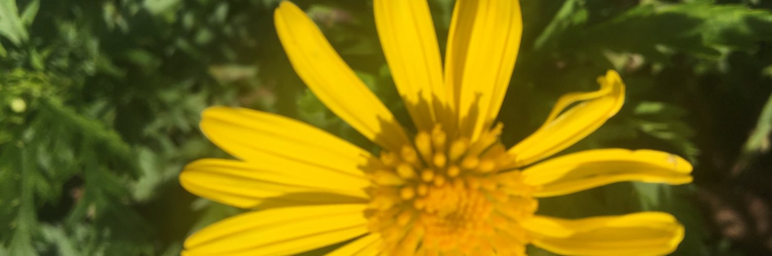 vngcsn's profile banner image