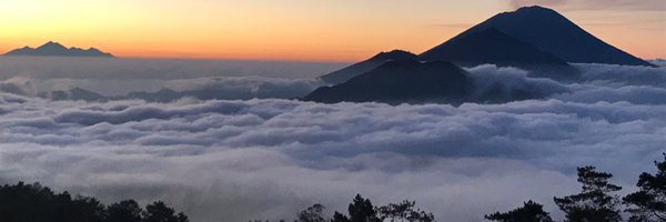 Sarahslicker1 Profile Banner