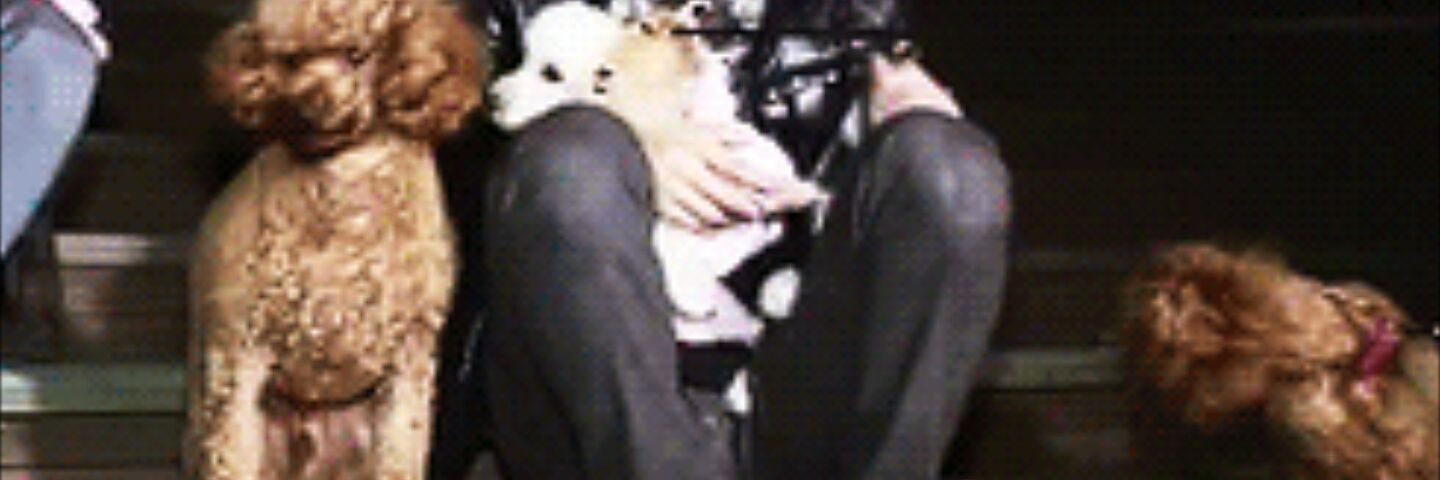 kjipupstwt's profile banner image