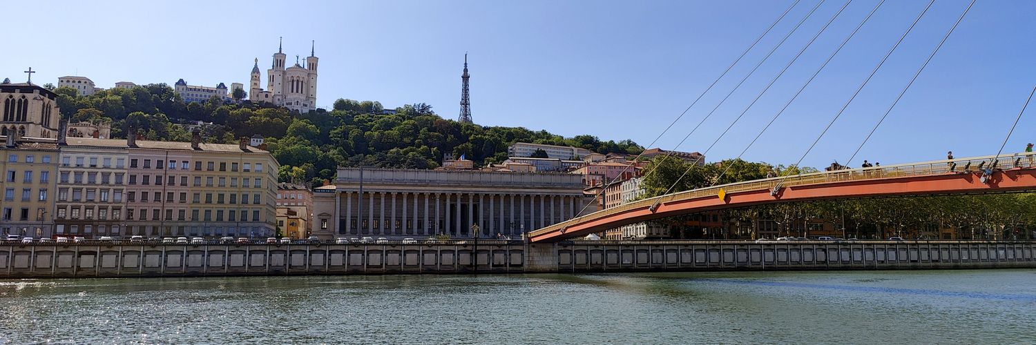 Damien Gaillard banner