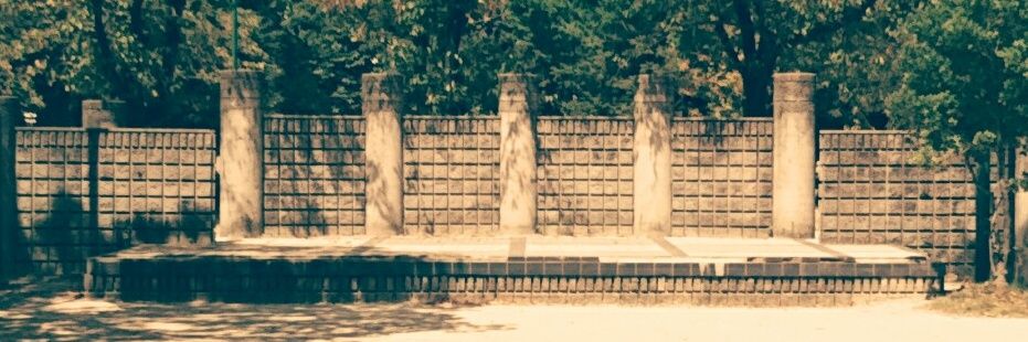 🌏 シ"→コ ☀ banner