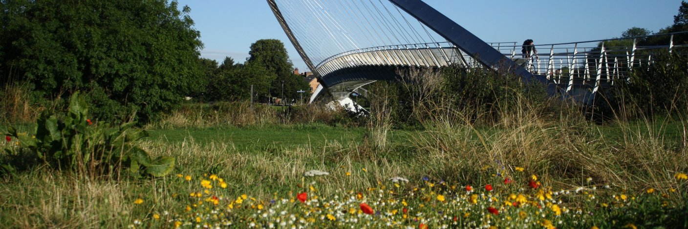 Andy D'Agorne banner