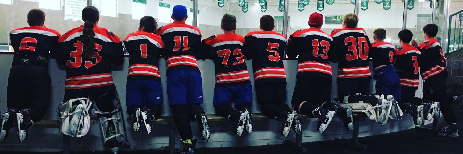 Ice Edge 2004 banner