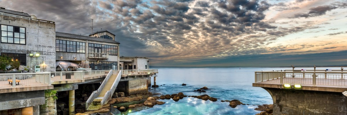 Julie Packard banner