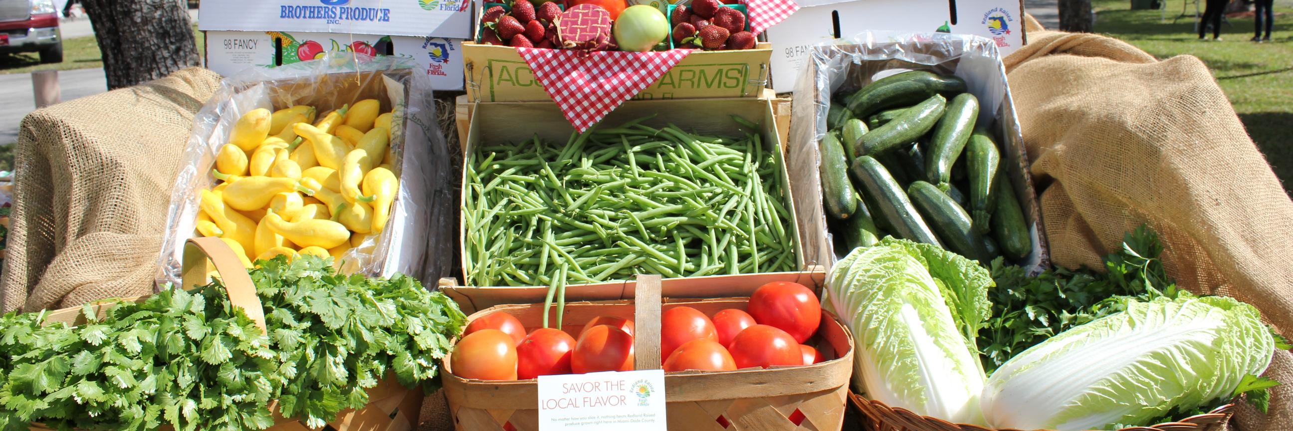 DadeCountyFarmBureau banner