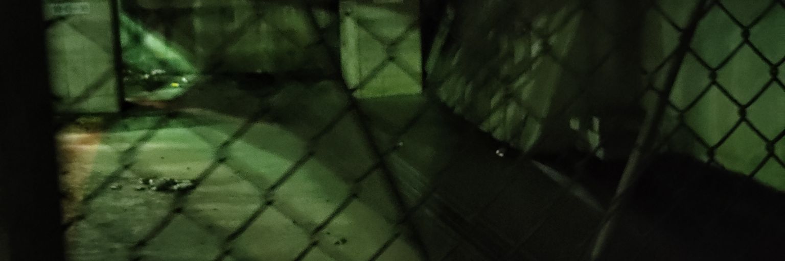 𝕡𝕤𝕒𝕜𝕒𝕖 banner