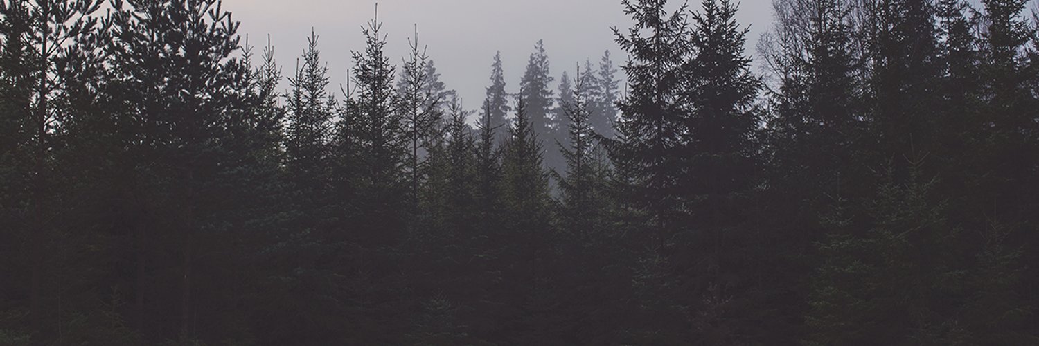 NicRTT's profile banner image
