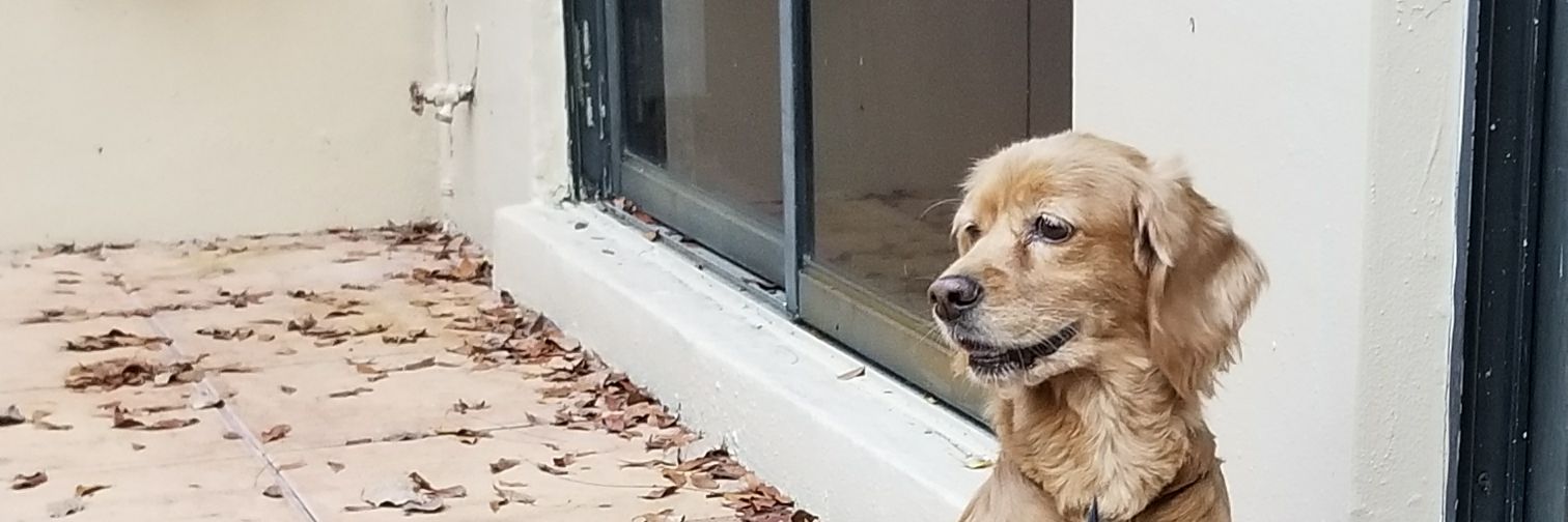 KJulieth19's profile banner image